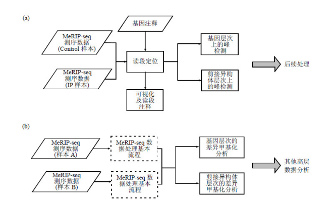 Merip Input MeRIP-Seq - 我的网站